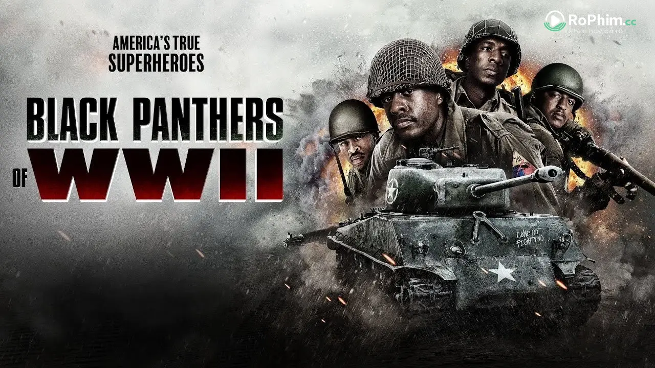 Black Panthers Unleashed: The Adult Chronicles of WWII