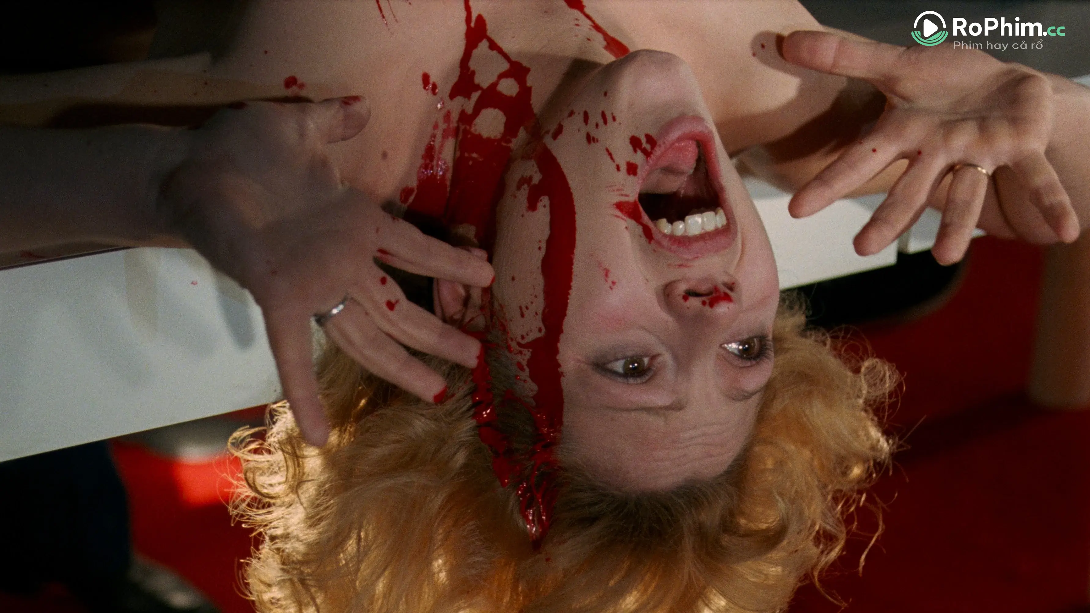 Đêm của kẻ bị truy đuổi