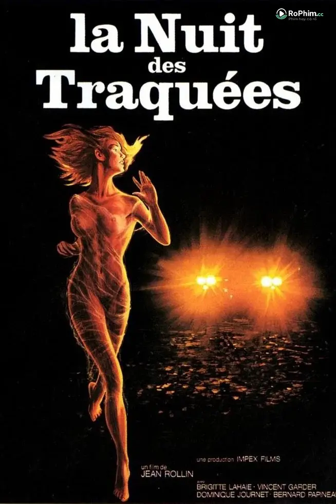 Đêm của kẻ bị truy đuổi