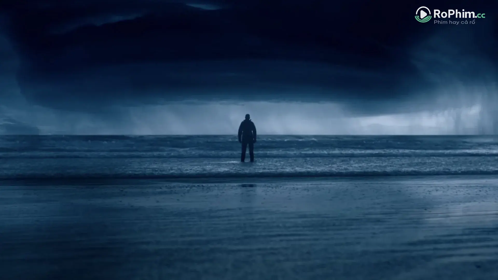 Hải Quỳ Nở Hoa Trong Đêm