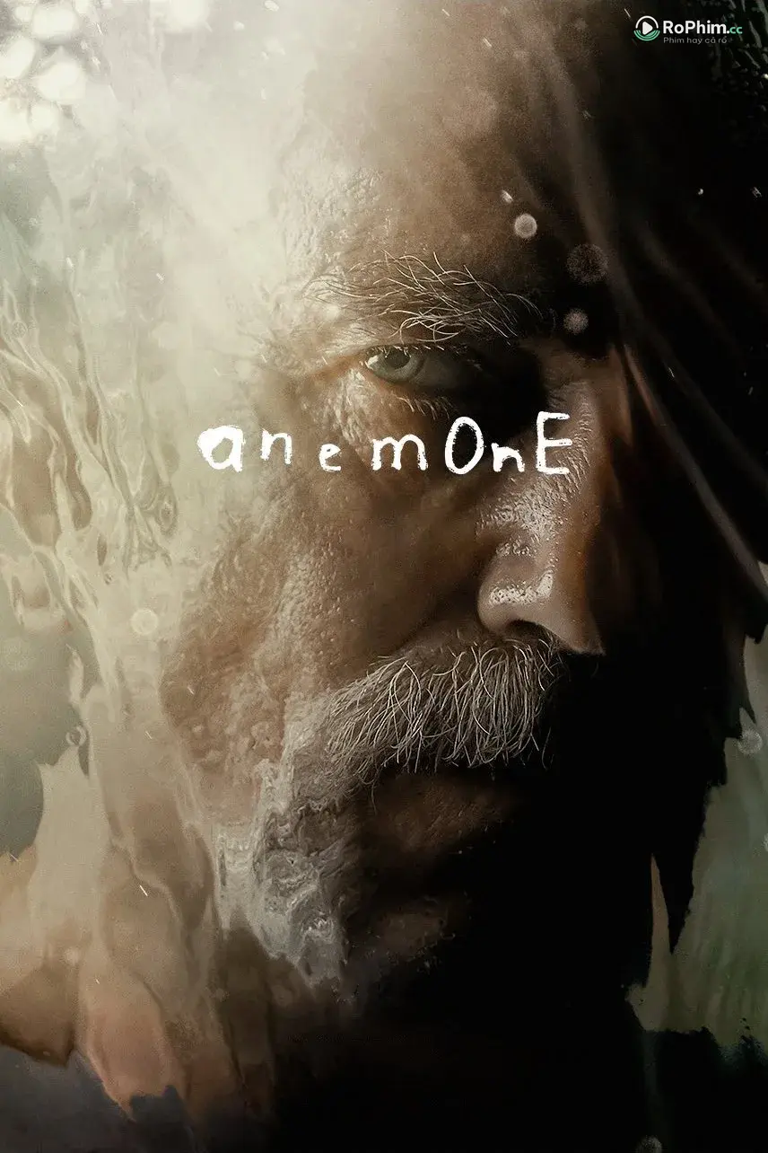 Hải Quỳ Nở Hoa Trong Đêm