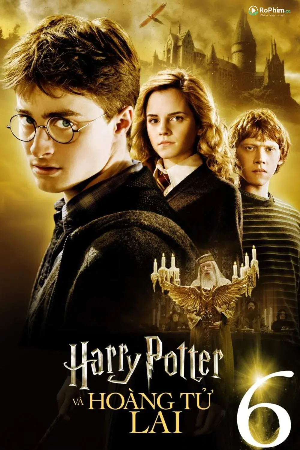 Harry Potter và Hoàng Tử Gợi Cảm