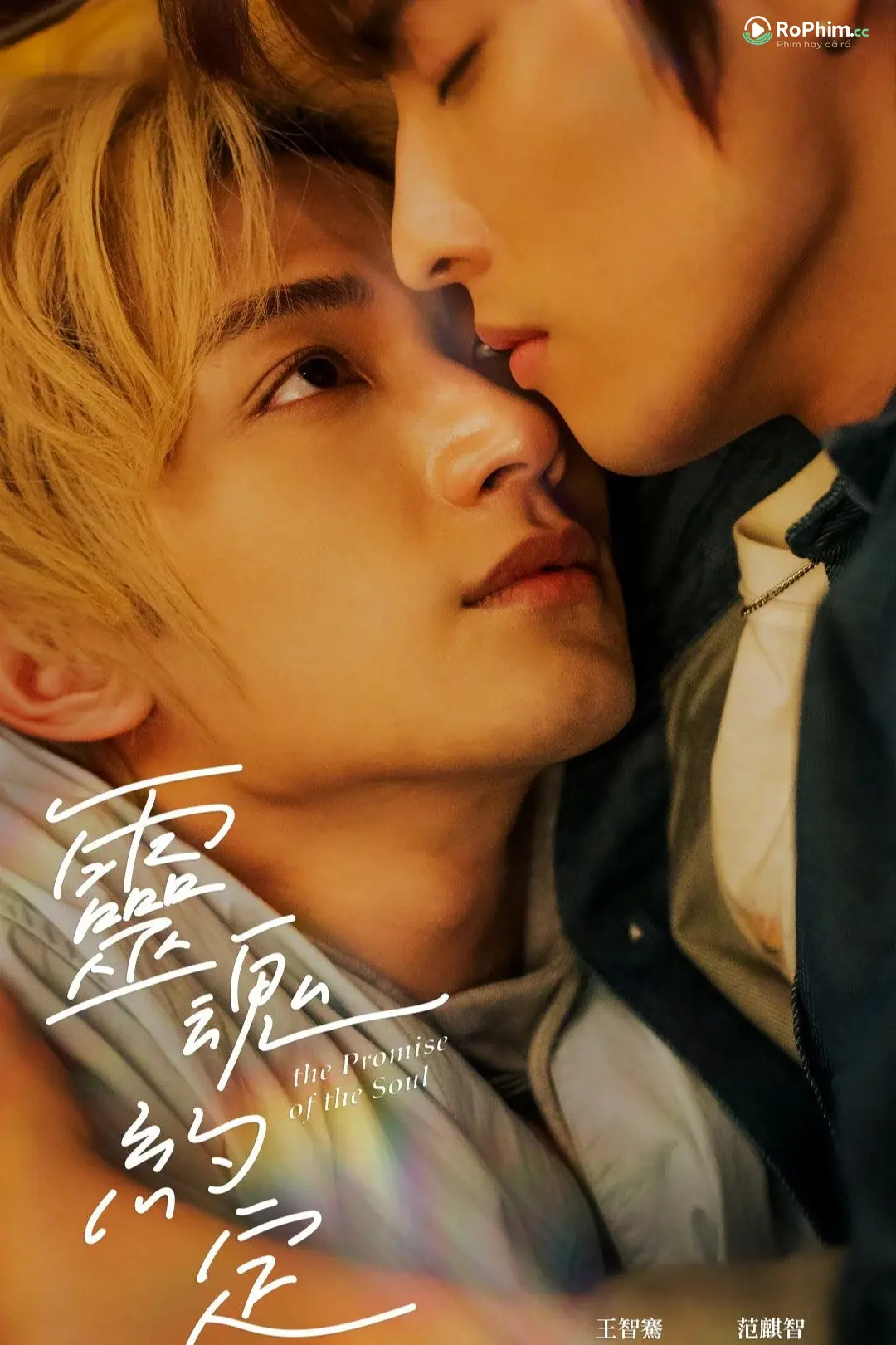 Lời Hứa Đêm Tỉnh Thức Của Linh Hồn