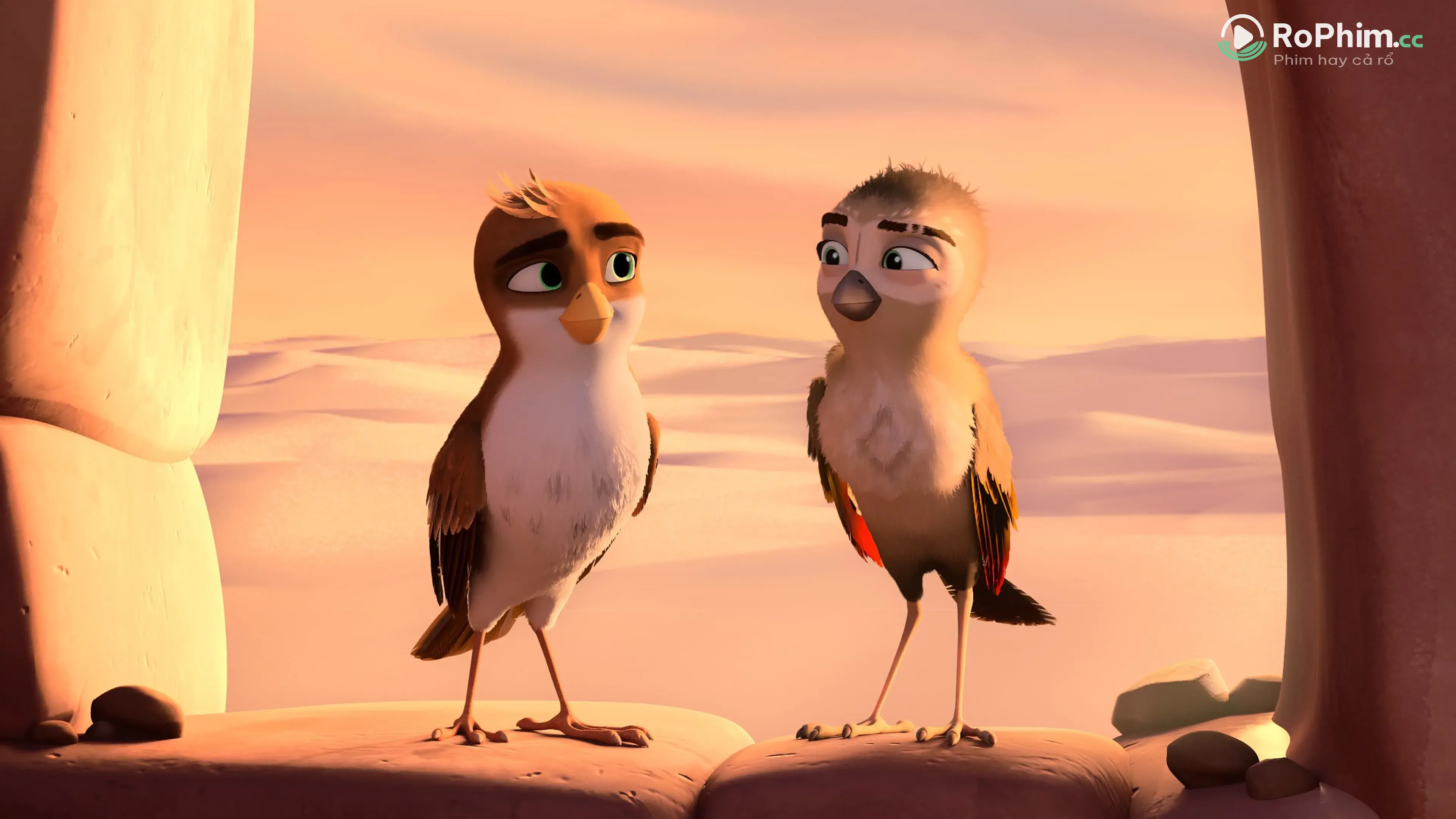 Vẹt Cò Phiêu Lưu Kỳ: Đêm Đen Bí Ẩn Tập FULL