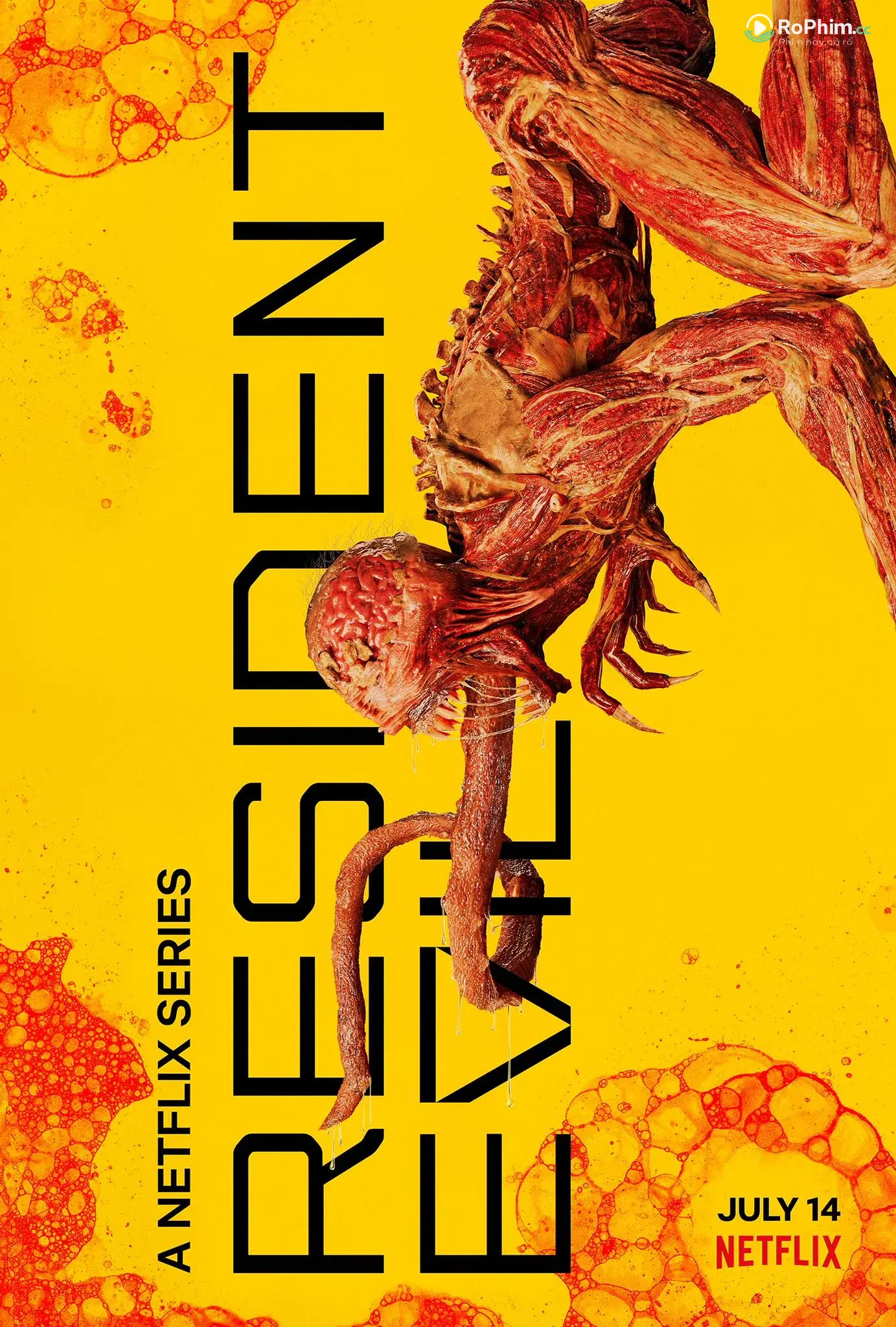 Vùng Đất Khỏa Thân (Bản TV)